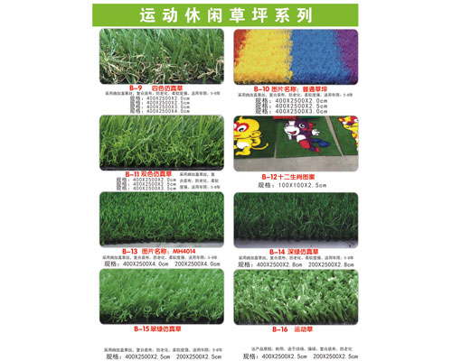 运动休闲草坪